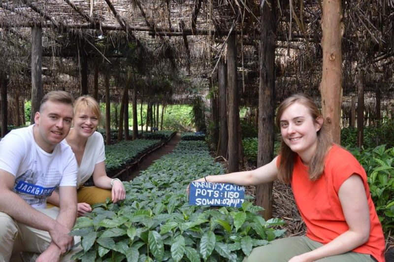 Malawi Koffie En Thee Reis Fotoreportage
