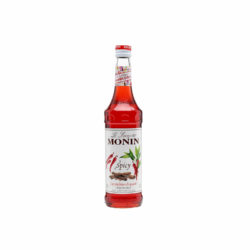 Monin - Siroop - Spicy - 700 ml