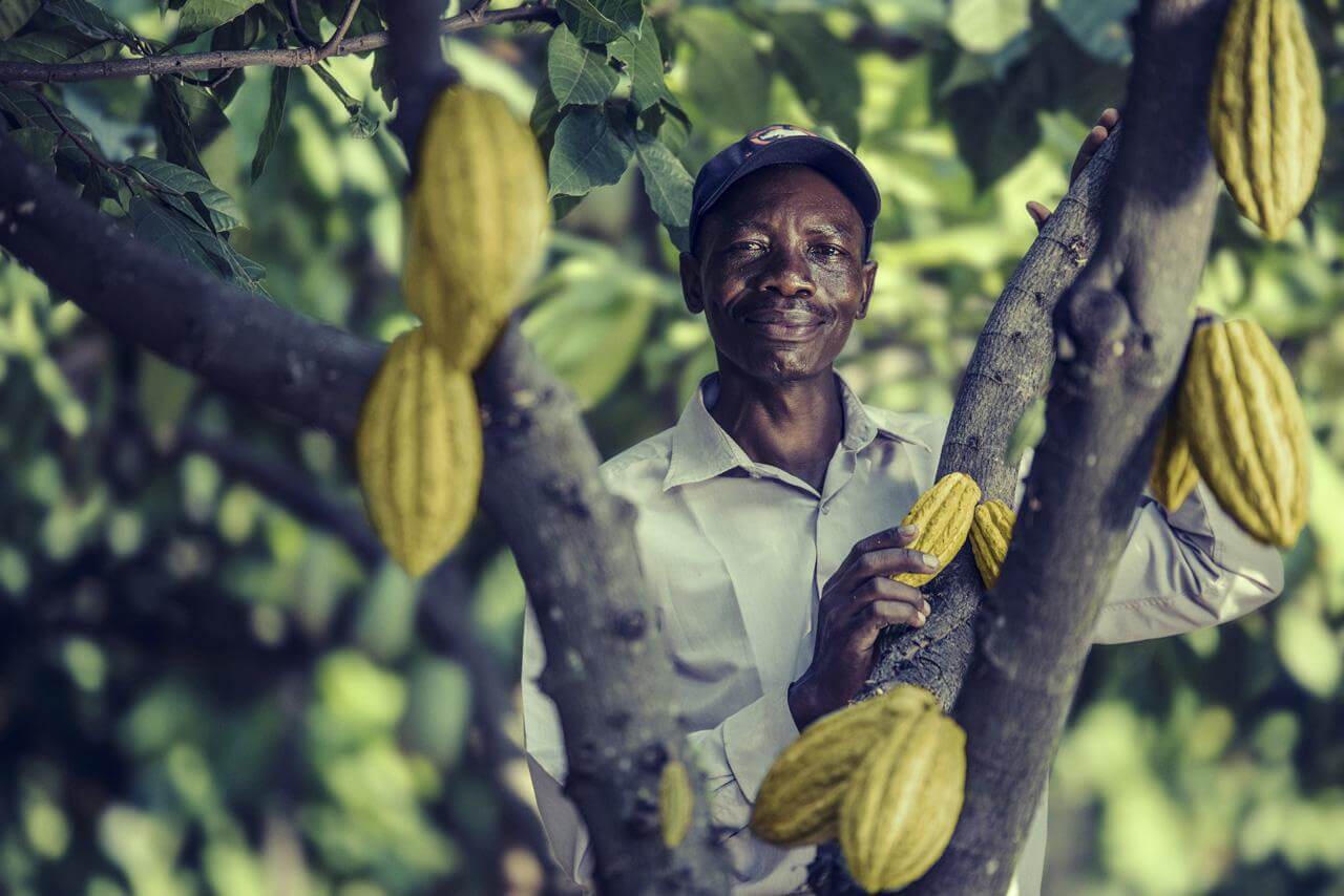 cacao-barry-purete-range-chocolate