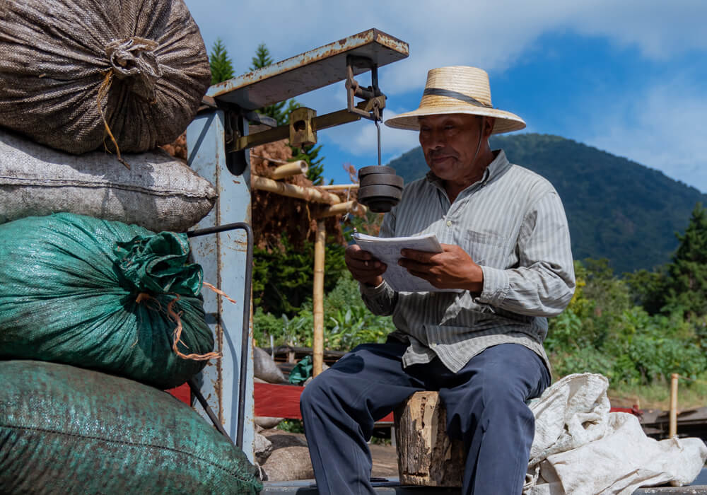 El salvador - las brisas Finca Las Brisas Carlos Pola Reading