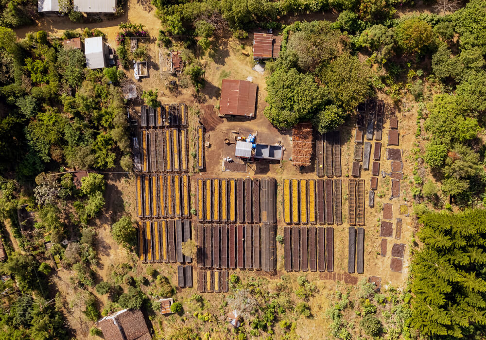 El salvador - las brisas Finca Las Brisas Topview